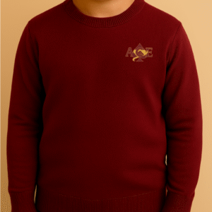 Maroon Red Sweater Youth