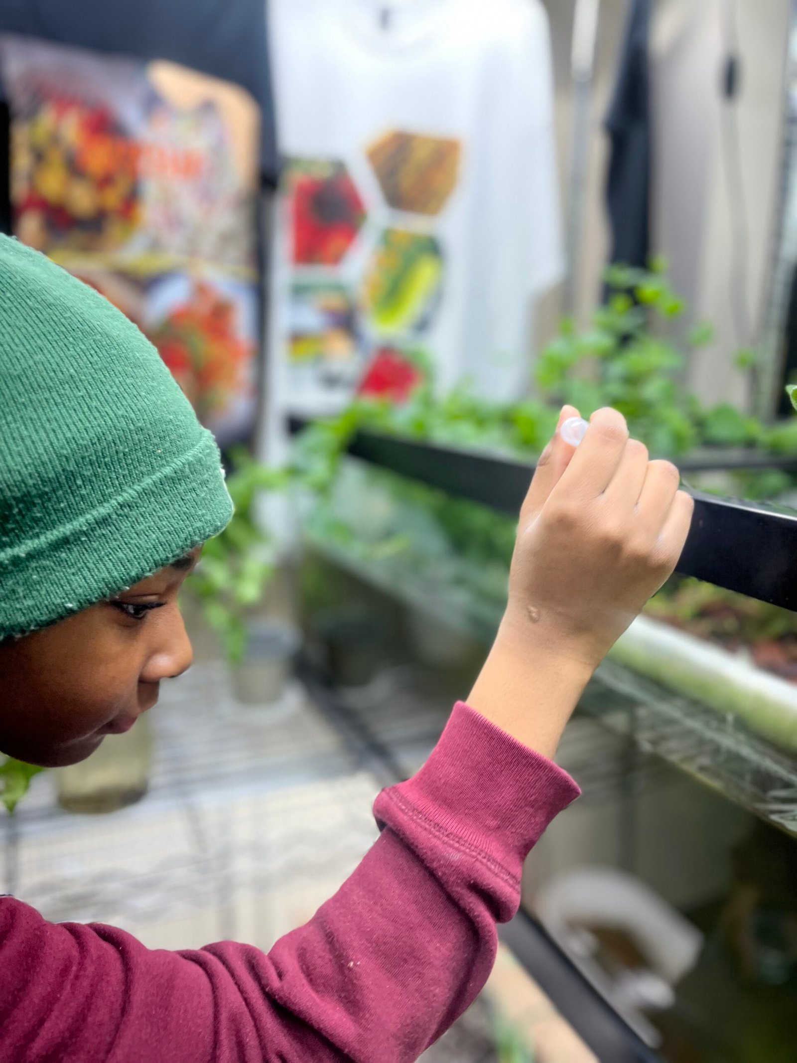 Caring adult supporting students